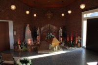 das zu meldende Bild