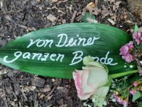 ein Bild aus dem Album