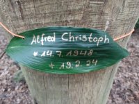 ein Bild aus dem Album