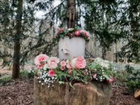 ein Bild aus dem Album