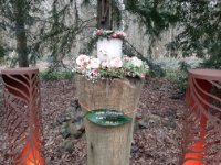 ein Bild aus dem Album