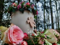 ein Bild aus dem Album