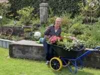 ein Bild aus dem Album