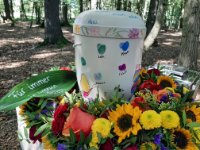 ein Bild aus dem Album