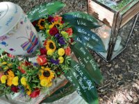 ein Bild aus dem Album