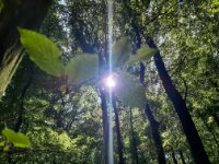 ein Bild aus dem Album