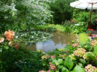 das zu löschende Bild