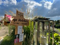 ein Bild aus dem Album