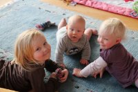 ein Bild aus dem Album