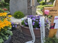 ein Bild aus dem Album