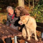 ein Bild aus dem Album