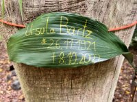 ein Bild aus dem Album