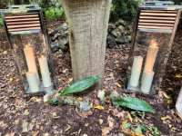 ein Bild aus dem Album